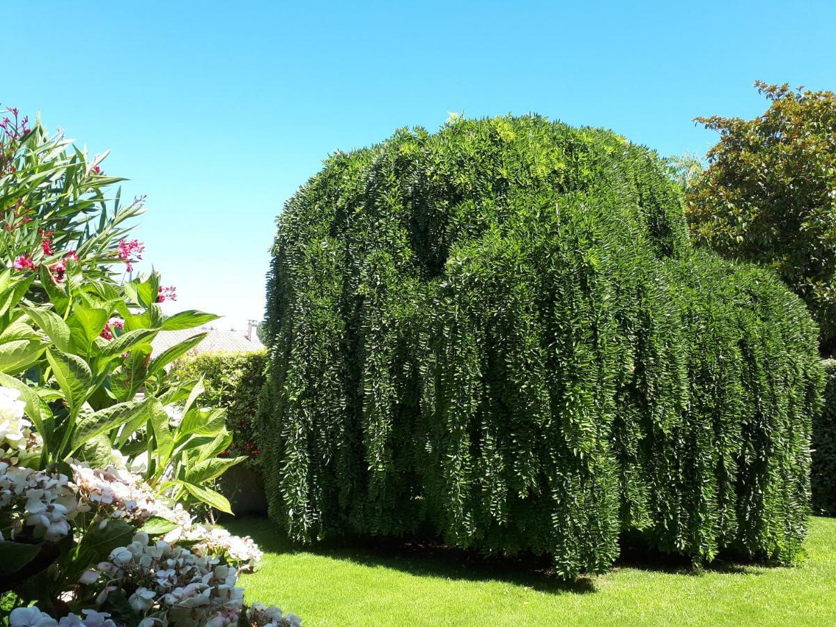 Maison Ruisseau L'Eau Blanche Leognan Bagian luar foto